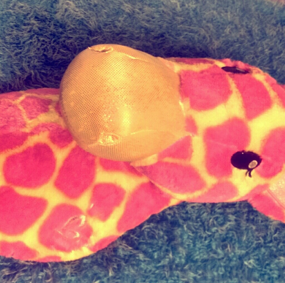 Giraffe head wall mount from justice